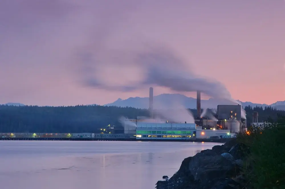Increasing Pulp Mill Profitability by Reducing Process Variability