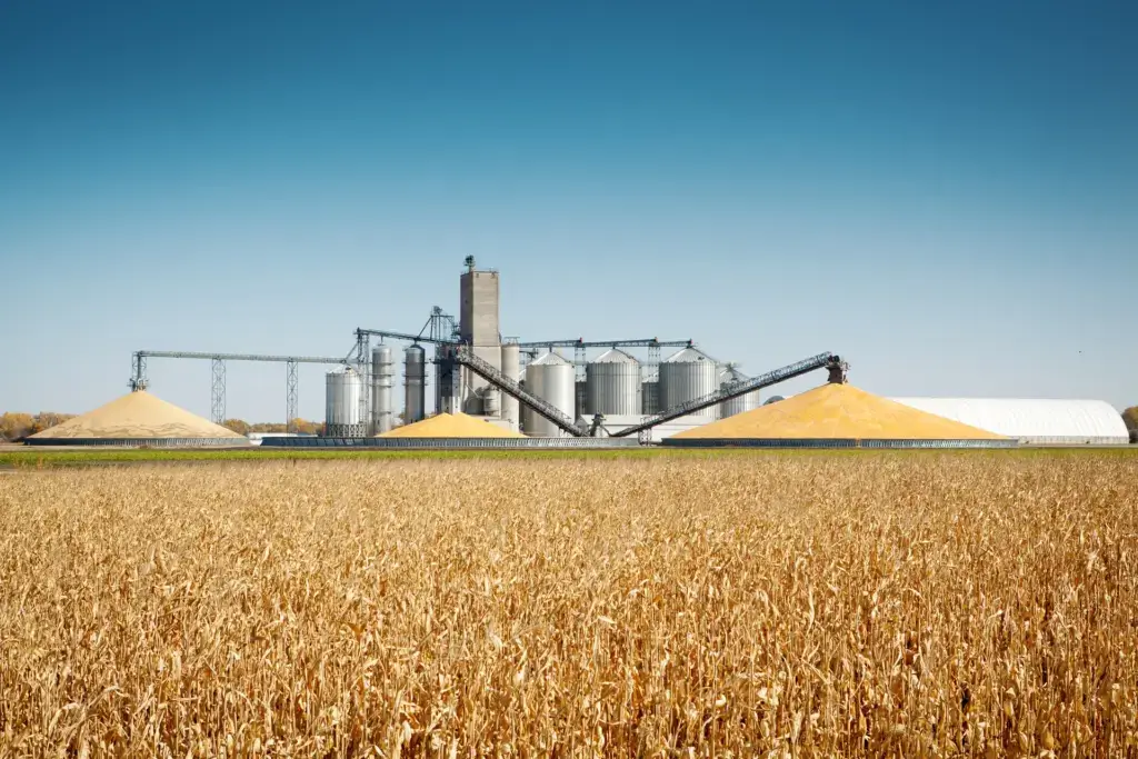 Agricultural and Sugar Processing