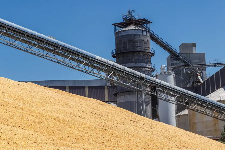 Conveyor belt moving materials at industrial facility.