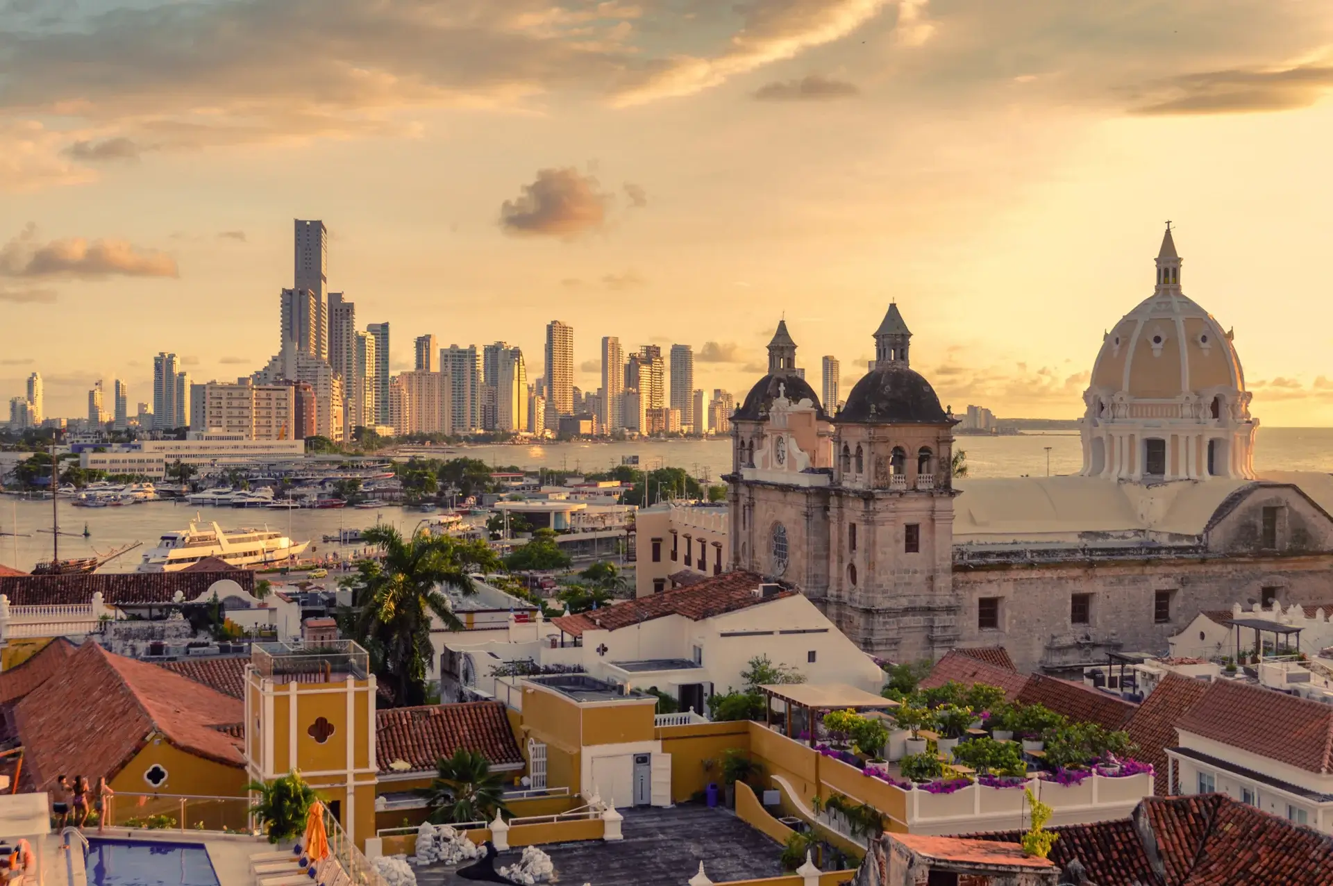 south america banner image