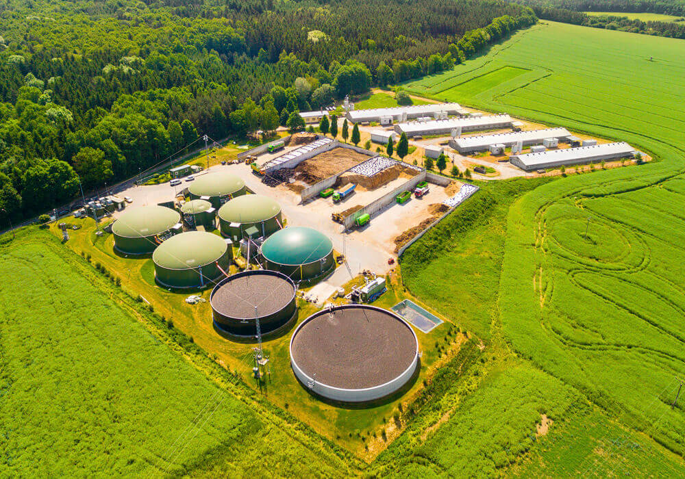 Diesel Biofuel Blendstock Produced Via New Catalytic Process