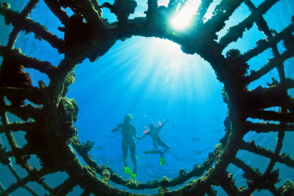 With the Help of Concrete, Artificial Coral Reefs Restore Whole