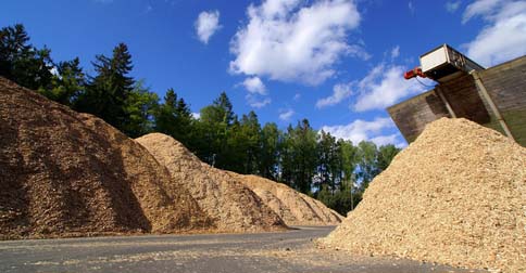maine biomass